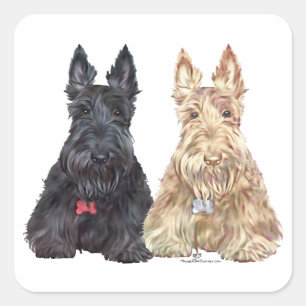 Weizenfarbene und schwarze Scottie-Hunde Quadratischer Aufkleber