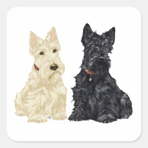 Weizenfarbene und schwarze Scottish Terrier Quadratischer Aufkleber
