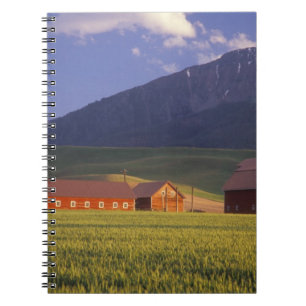 Weizenfeld im Wallowa Tal, gerade draußen Notizblock
