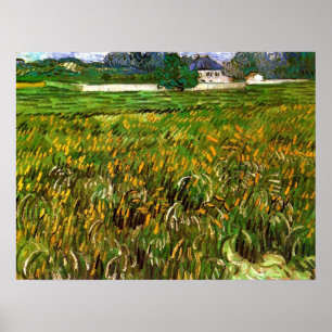 Weizenfeld in Auvers von Vincent van Gogh Poster
