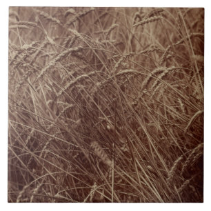 Weizenfeld (von Eugène Atget) Fliese