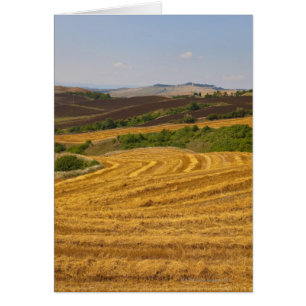 Weizenfelder nach der Ernte