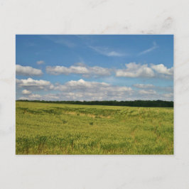 Weizenfelder Postkarte