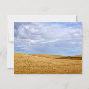 Weizenfelder Postkarte
