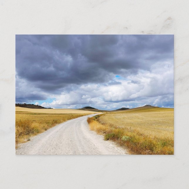 Weizenfelder Postkarte (Vorderseite)