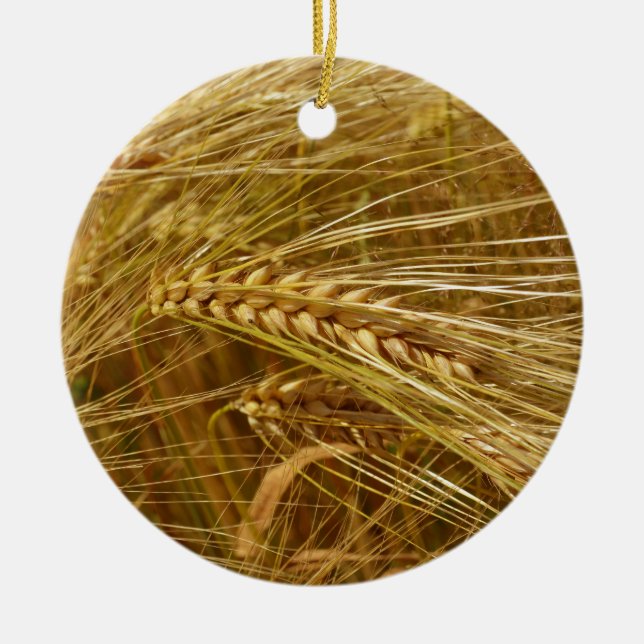 Weizenkörner auf dem Feld. Es ist ernte Zeit! Keramik Ornament (Vorne)