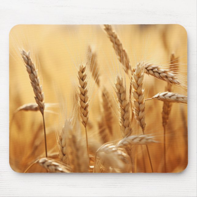 Weizensonne Ruhe Friedliche Natur Mousepad (Vorne)