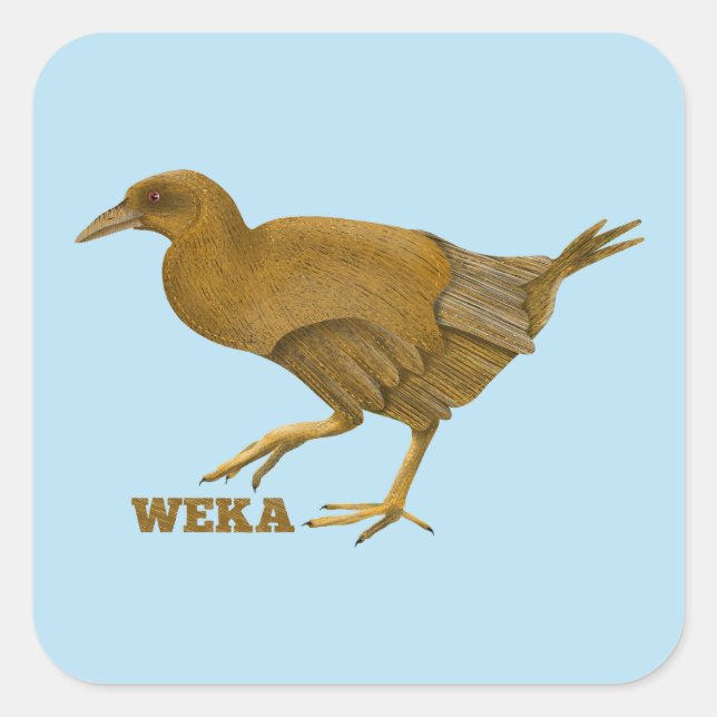 Weka N.Z. bird Quadratischer Aufkleber (Vorderseite)