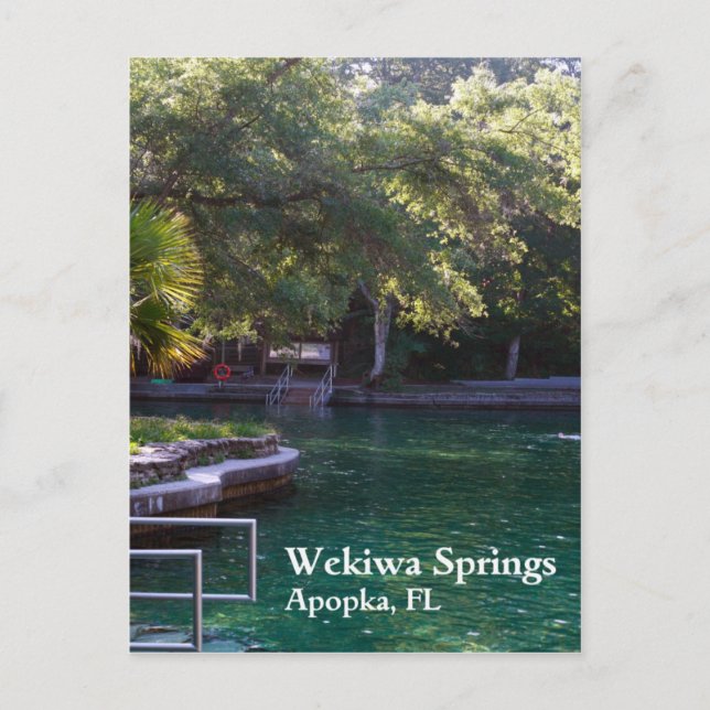 Wekiwa Springs, Apopka, FL Postkarte (Vorderseite)