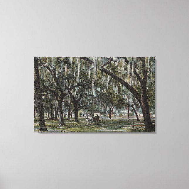 Welaka, FL - Aussicht auf Welaka Park & Mossy Tree Leinwanddruck (Vorderseite)