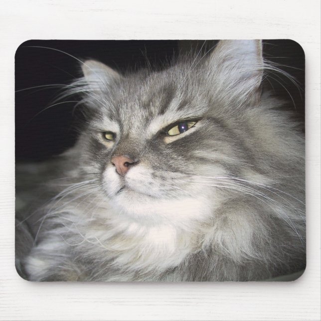 Welche Haltung? Mousepad (Vorne)