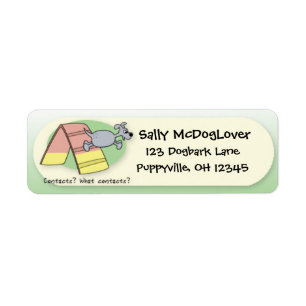 Welche Kontakte? Hunde-Agility