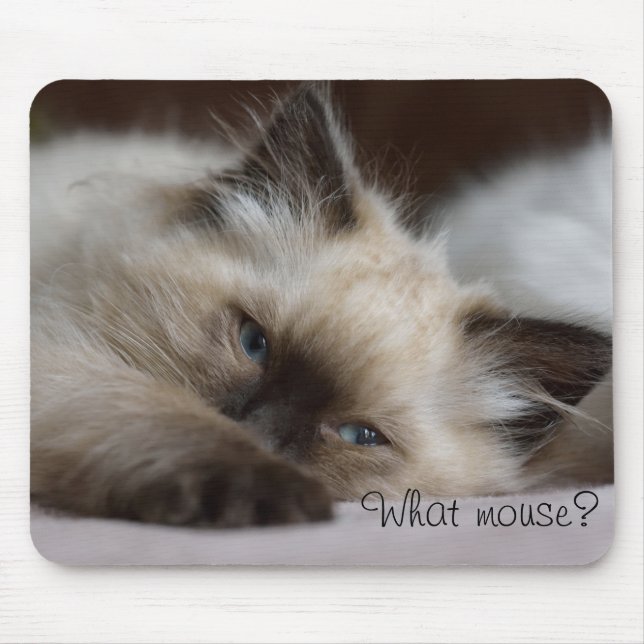 Welche Maus, Mausunterlage Mousepad (Vorne)