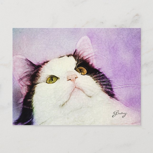 Welche Maus? Postkarte (Vorderseite)