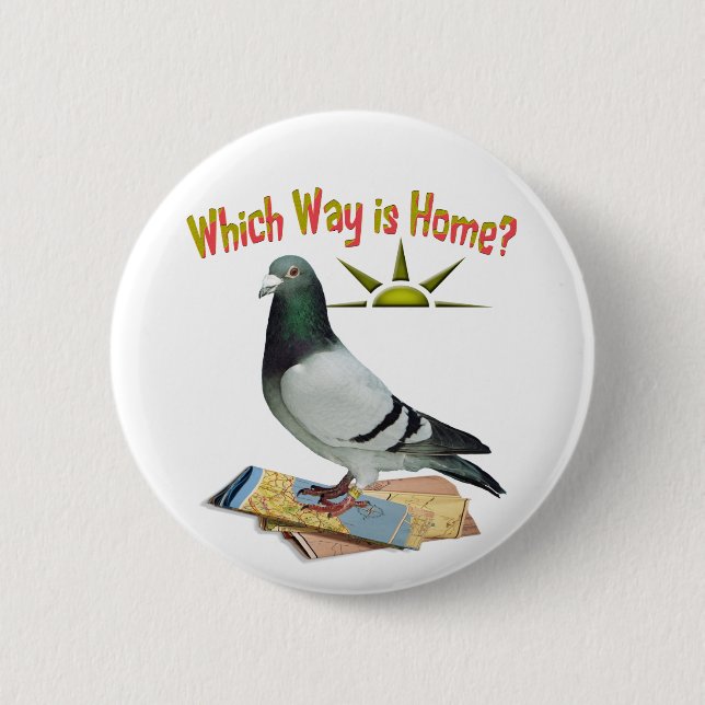 Welche Weise ist Zuhause? Tauben-Kunst Button (Vorderseite)