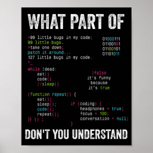 Welchen Teil von verstehst du nicht Informatik Poster
