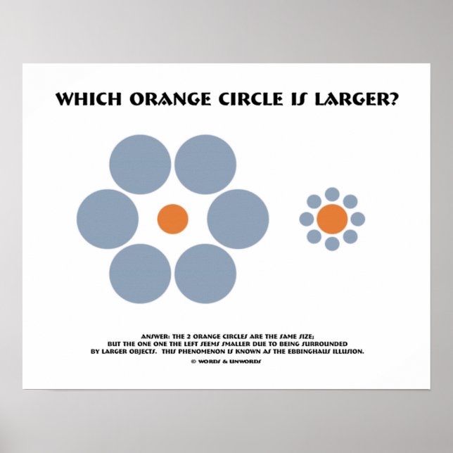 Welcher orangefarbene Kreis ist größer? (optische  Poster (Vorne)