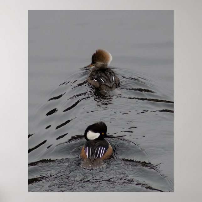 Welcher Weg Poster (Vorne)