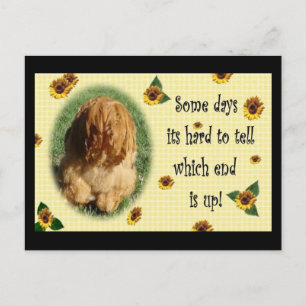 Welches Ende ist wahr? Postkarte