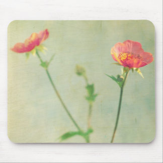 Welches folgende Mousepad
