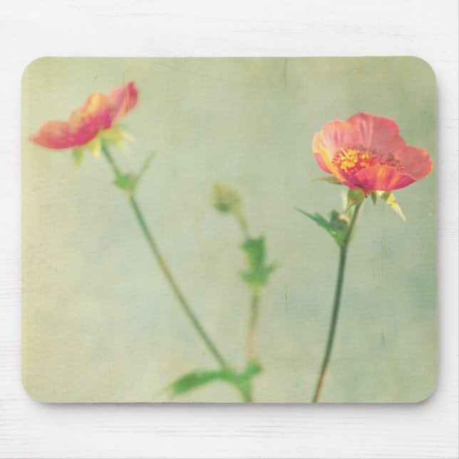 Welches folgende Mousepad (Vorne)