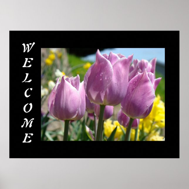 WELCOME Kunstdrucke Plakate Spring Tulip Blume (Vorne)
