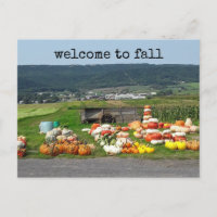 Welcome to fall Pumpkin farm Postcard