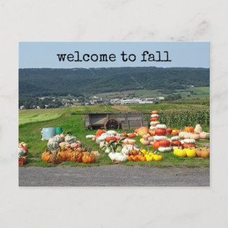 Welcome to fall Pumpkin farm Postcard Postkarte