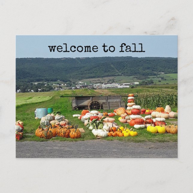 Welcome to fall Pumpkin farm Postcard Postkarte (Vorderseite)