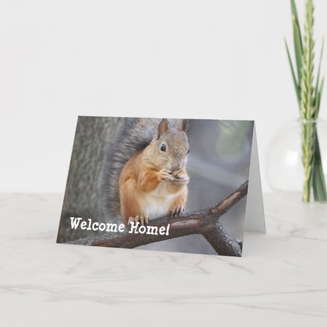 Welcome Zuhause Red Squirrel Grußkarte Karte (Vorderseite)
