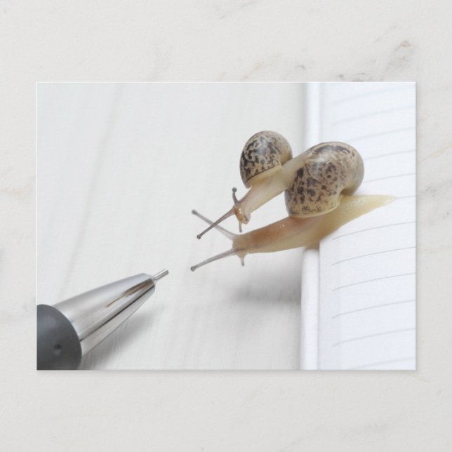 We'll help you study postkarte (Vorderseite)