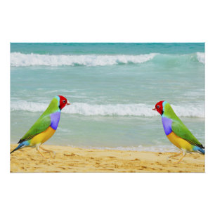 Wellen, Himmel und Surfen am Strand Poster