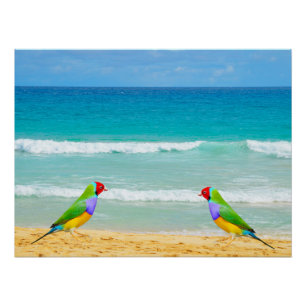 Wellen, Himmel und Surfen am Strand von Boa Vista Poster