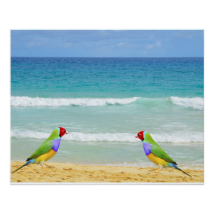 Wellen, Himmel und Surfen am Strand von Boa Vista Poster
