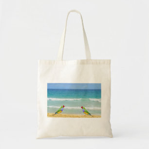 Wellen, Himmel und Surfen am Strand von Boa Vista Tragetasche