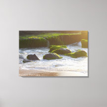 Wellen-Schaum-Riff-Algen-Strand-Landschaft-Natur-F