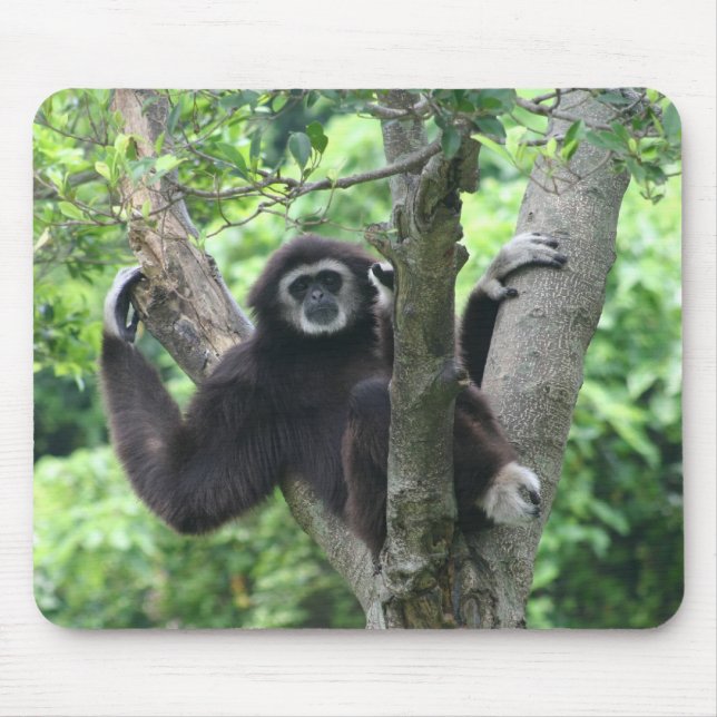 Wellenartig bewegender Affe Mousepad (Vorne)