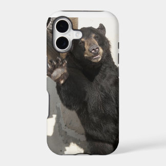 Wellenartig bewegender Bär