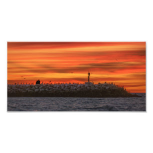 Wellenbrecher mit Pelikanen - Marina Del Rey, CA Fotodruck