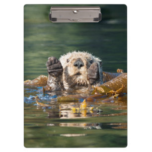 Wellenseeotter Klemmbrett