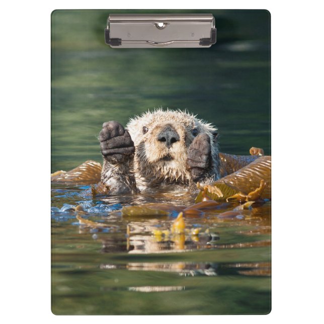 Wellenseeotter Klemmbrett (Vorderseite)