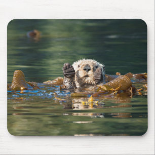Wellenseeotter Mousepad