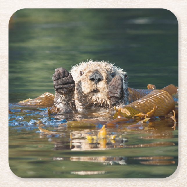 Wellenseeotter Rechteckiger Pappuntersetzer (Vorderseite)
