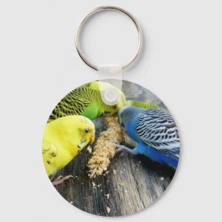 Wellensittiche (Melopsittacus undulatus) Schlüsselanhänger