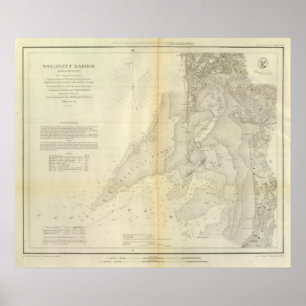 Wellfleet Hafen, Masse Poster