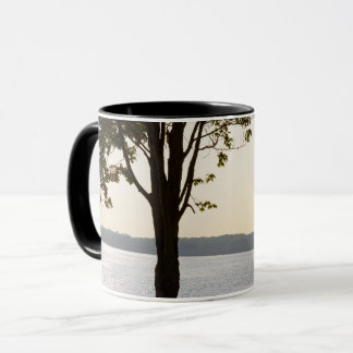Welliges Lake Tasse