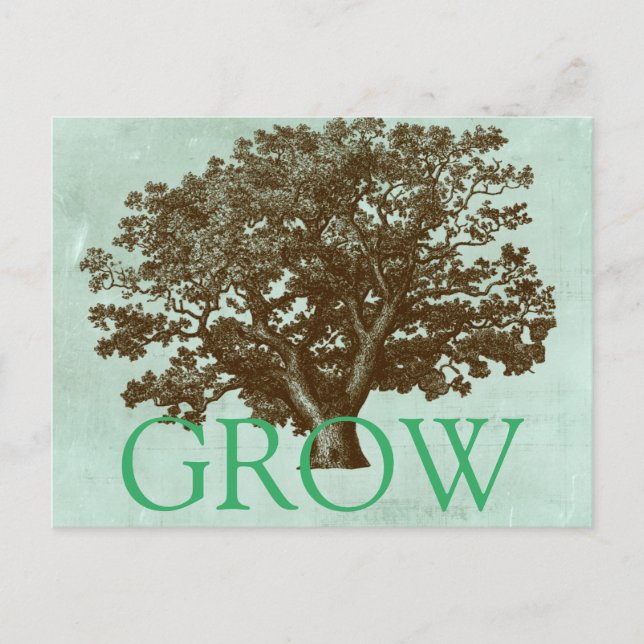 Wellness-Center Tree IV Postkarte (Vorderseite)