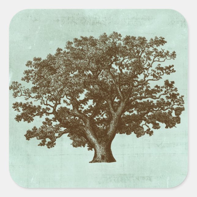 Wellness-Center Tree IV Quadratischer Aufkleber (Vorderseite)