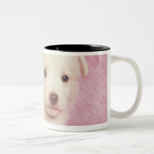 Welpe 5 zweifarbige tasse