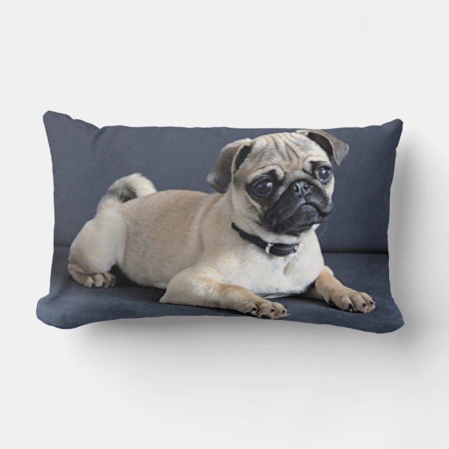 Welpe auf Lounging Couch Lendenkissen (Vorderseite)